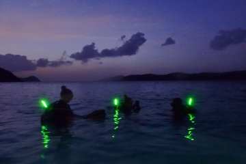 Divers with glow sticks